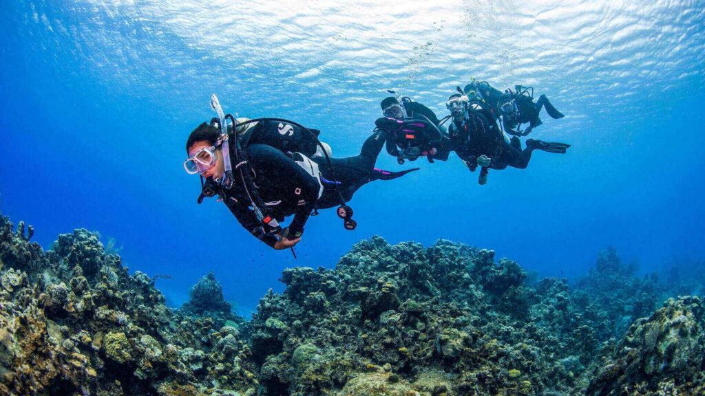 PADI Pro Career Path Guide Atlantis Dive Academy