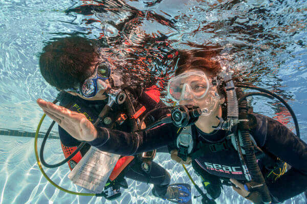 PADI Dive Instructor Courses Malta