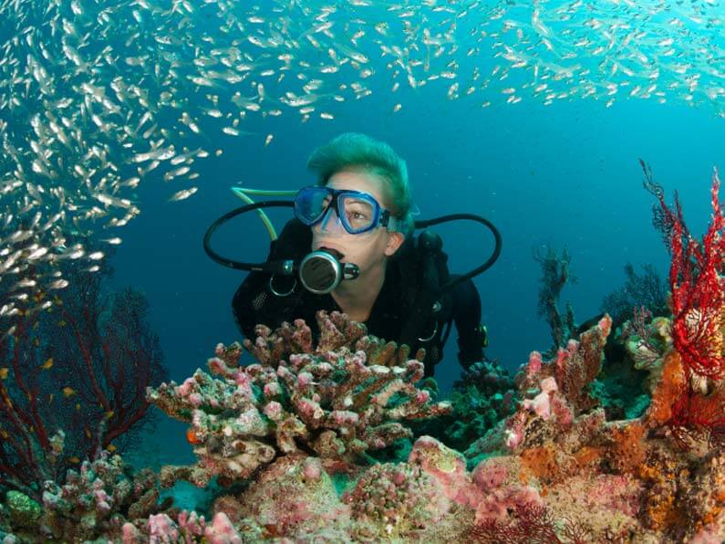 Pro Dive Questions Diving Jobs in Thailand
